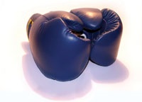 Don't Give up the Fight