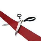 The 100-Percent Success Factor