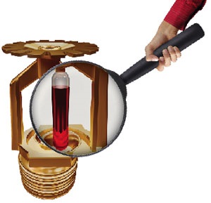 FLS_Pic.jpg