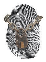 Identity Theft Tops in Financial Threats