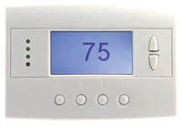 ACF6524.jpg