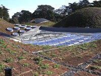 CAS-3459_Living Roof.jpg