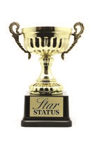 MYR Group Subsidiaries Receive VPP Star Status Award