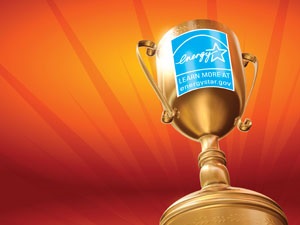 Electric Companies Earn 2008 Energy Star Awards