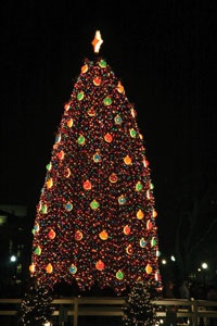 'Twas the Season to Be Green