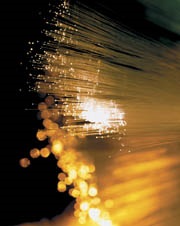 fiber10.JPG
