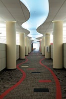 ACFE743.jpg