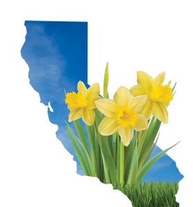 01_California6.jpg