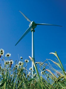 Utility Expands Wind Business