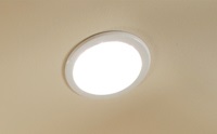 Swedberg Web Ex Pic.jpg