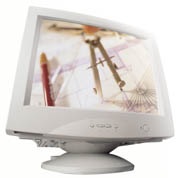 Vectorizing the Raster