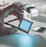 New Materials for High-Efficiency Organic Solid-State Lighting Developed 