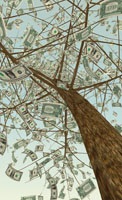 Branching Out