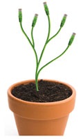 Planting.jpg