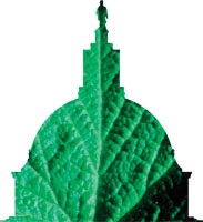 A Green Capitol Hoped to Set Good Example