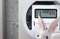 Energizer Bunnies