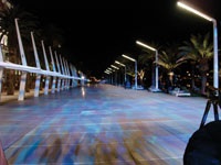 Bright Lights, Big Profits