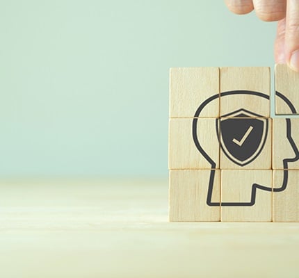 Safety Mindset: Managing in a State of Regulatory change