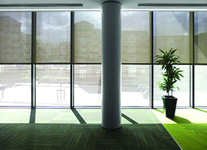 office with window shades