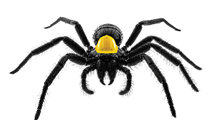 spider with a hard hat
