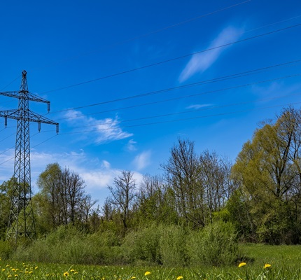 The Arbor Day Foundation Opens Applications for Utility Recognition