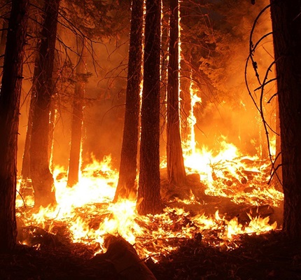Legal Drama Heats Up Over Causes Of Northern California Wildfires