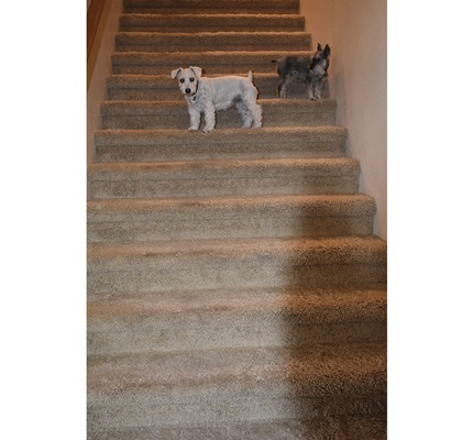Elevator Potential: Is an Elevator the Right Option for a Two-Story Home? 