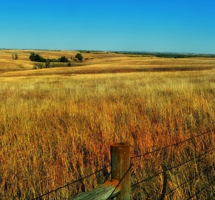 Solar Energy a Growing Trend in Nebraska