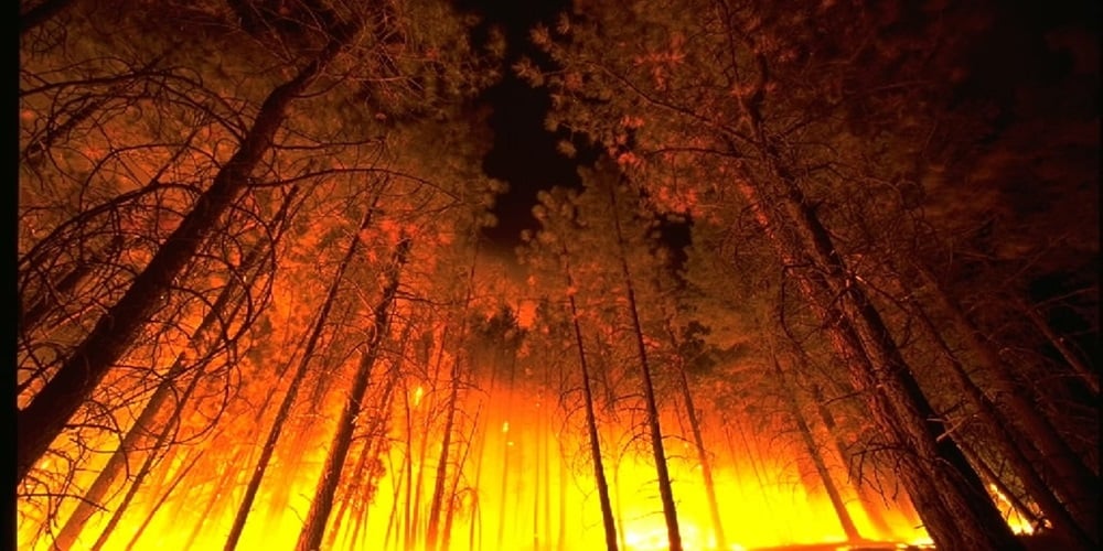 Wildfire Image by skeeze from Pixabay