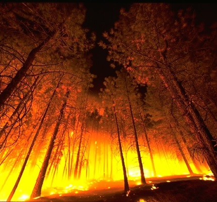 California Changes Utility Regulations Due to Wildfires