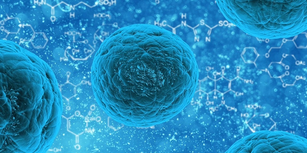 Researchers from Rice University have found a way to harness anaerobic bacteria in producing electricity