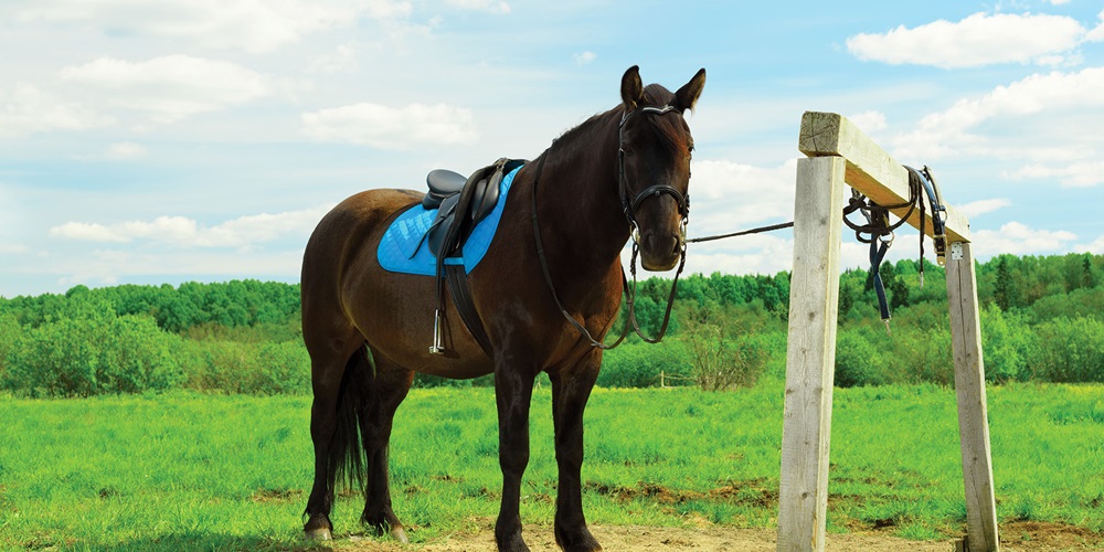 Variety Design requirements for communications