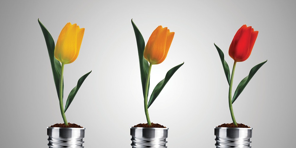 Three tulips each growing out of the base of a lamp | Shutterstock / Designs Stock
