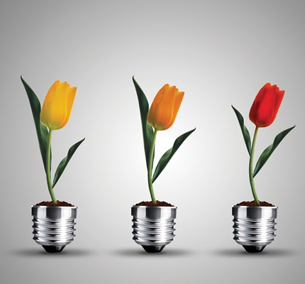 Always Look on the Bright Side of Life: New dimmer and lamp technology requires mindful installation