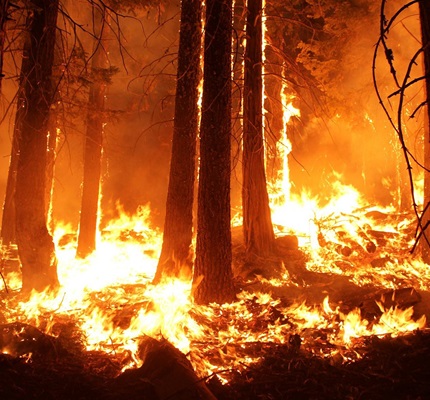 Utilities Petition California for Wildfire Liability Reforms