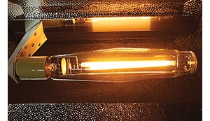 Hortilux's Super HPS Lamp