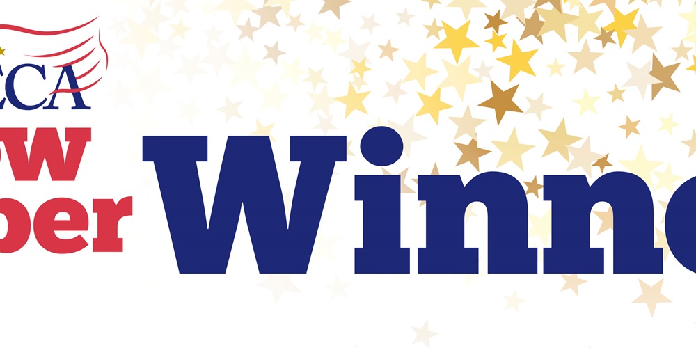 2019 NECA Showstopper Winners