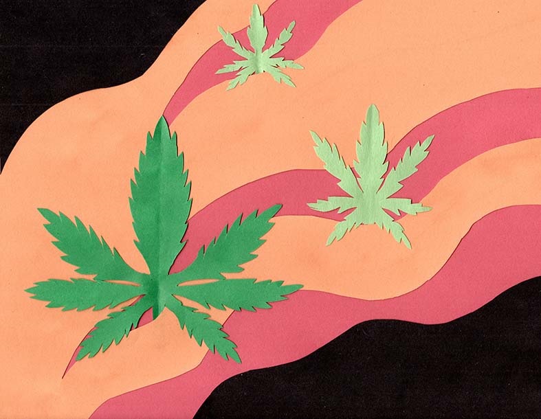 Construction paper cutout of fire and marijuana leaves. Image by Susan DeGrane.