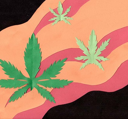 Cannabis and the Code: Addressing the hazards of doing business with an industry’s unique needs