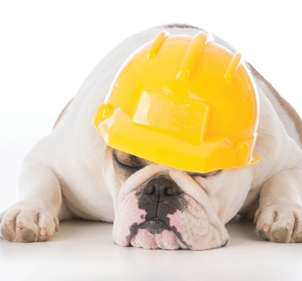 Go to Bed, Sleepyhead: Understanding and addressing fatigue in the workplace 