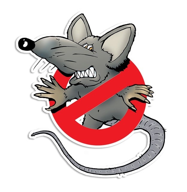 An illustration of a rat with a red crossed circle | Image by Charly Gutmann from Pixabay