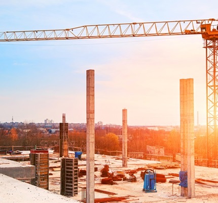 Job Market Remains Steady in a Tepid Economy