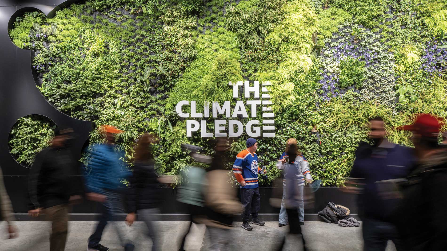 Climate Pledge Arena green wall / Alex Fradkin Photography