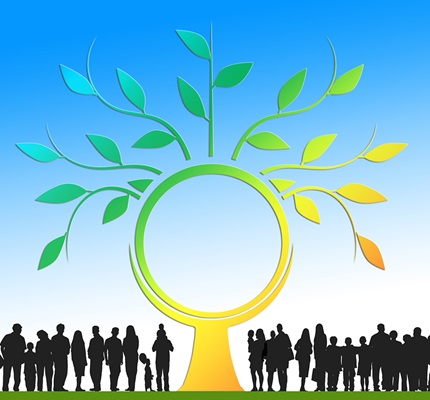 Minnesota, New York Score Well in IREC’s National Shared Renewables Scorecard