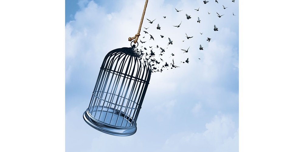 Bloom incarcerated individuals