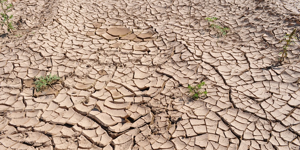 drought-19478_1920.jpg