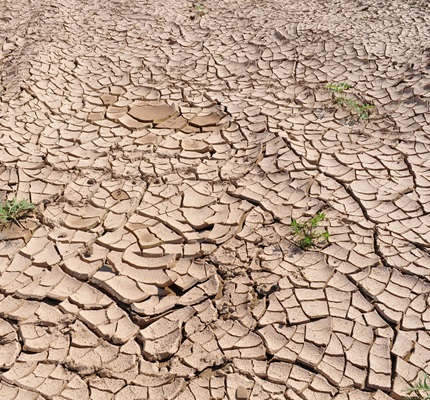 Rain and Hydropower Drying Up in the Pacific Northwest