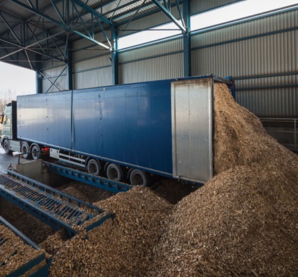 Biomass Not Yet Ready For Prime Time