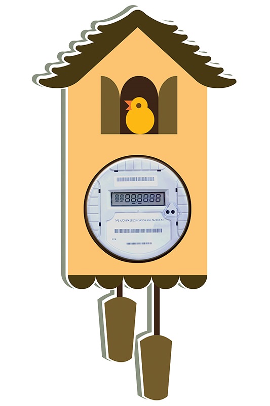 cuckoo_clock_bigtstock_istock.jpg