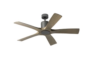 Modern Forms' fan